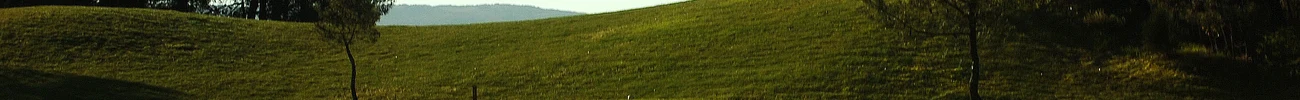 strings.alt.image