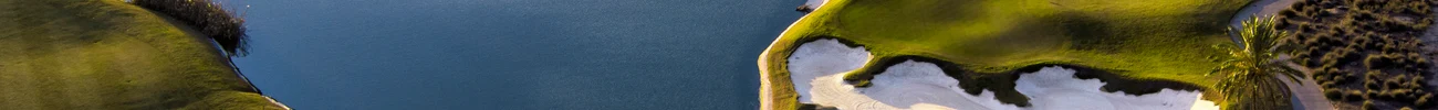 strings.alt.image
