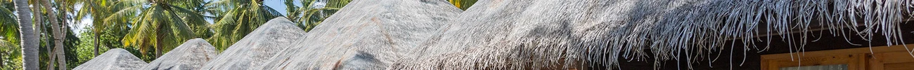 strings.alt.image