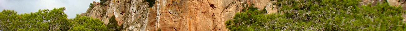 strings.alt.image
