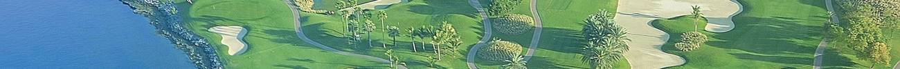 strings.alt.image