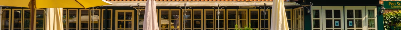 strings.alt.image