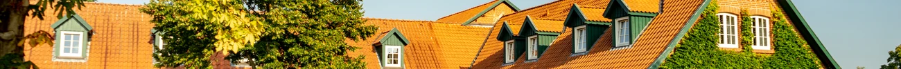 strings.alt.image