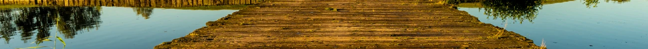 strings.alt.image