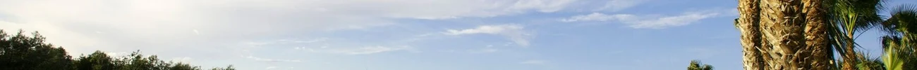 strings.alt.image