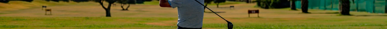 strings.alt.image