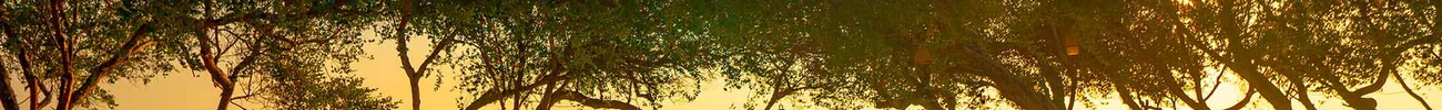 strings.alt.image