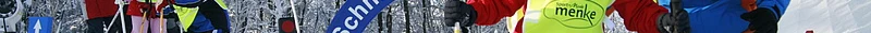 strings.alt.image