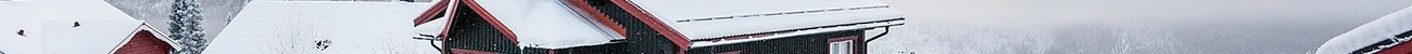 strings.alt.image