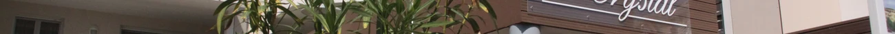 strings.alt.image