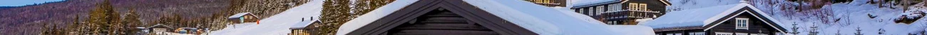 strings.alt.image