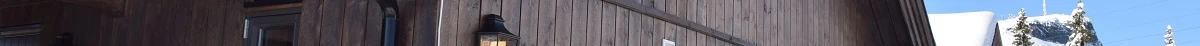 strings.alt.image