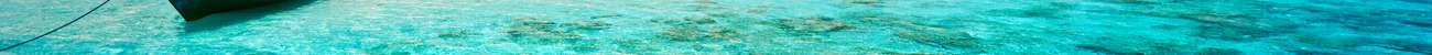 strings.alt.image