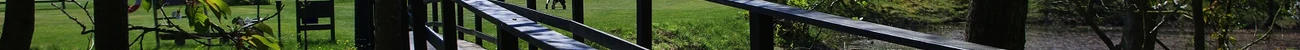 strings.alt.image