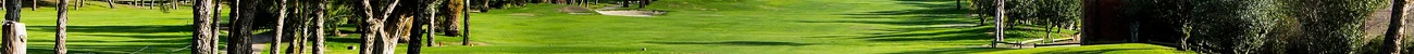 strings.alt.image