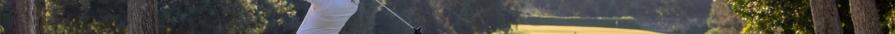 strings.alt.image