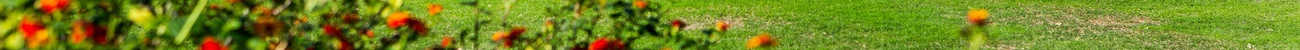 strings.alt.image